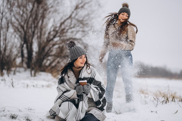 Maintaining Physical Activity Throughout the Winter Season