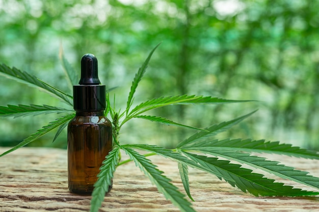 Enhancing Mental Wellbeing with CBD Oil: A Comprehensive Exploration