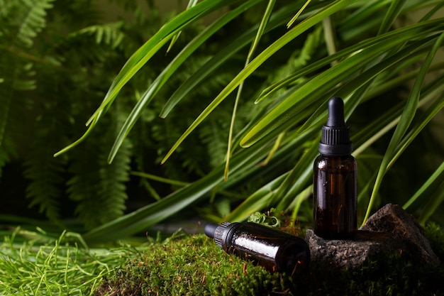 Harnessing the Power of CBD Oil to Combat Depression and Alcohol Dependence