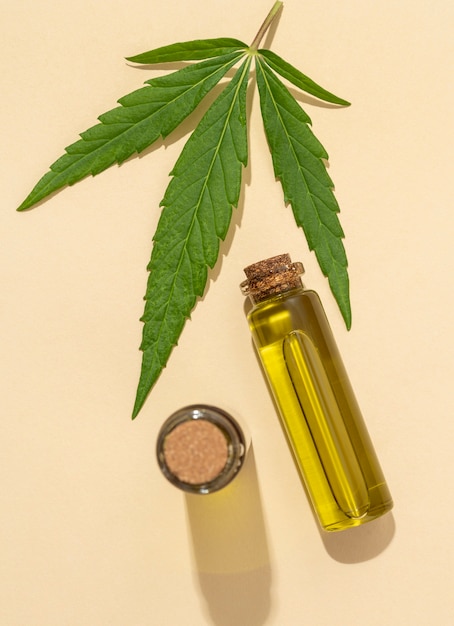 Strategies for Enhancing the Therapeutic Effects of CBD Oil