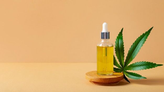 Understanding CBD and Its Surge in Popularity