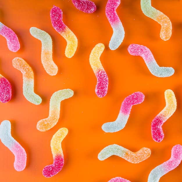 Understanding the Relationship Between Fasting and Gut Bacteria