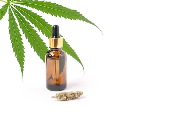 Understanding the Rise and Appeal of CBD