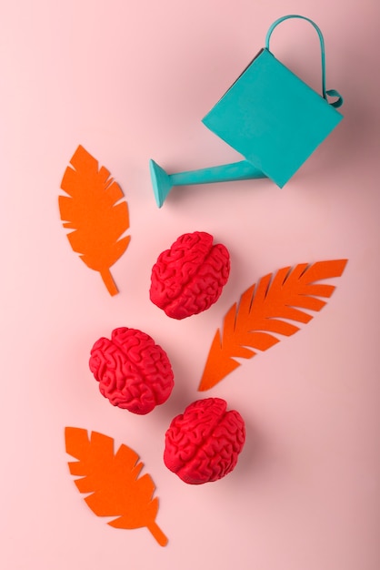 10 Strategies for Nurturing a Healthy Brain After 40