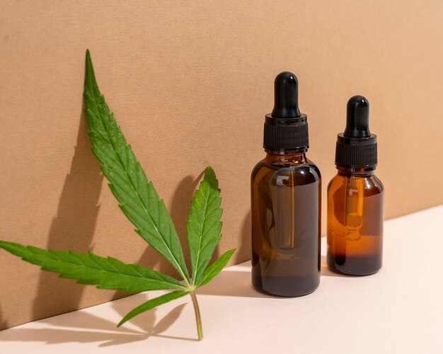 Key Traits to Consider When Choosing a CBD Oil Supplier